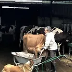 Du Coos
