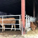 Du Coos Audaux
