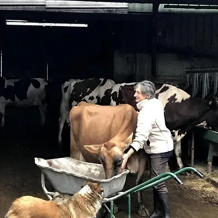 Du Coos