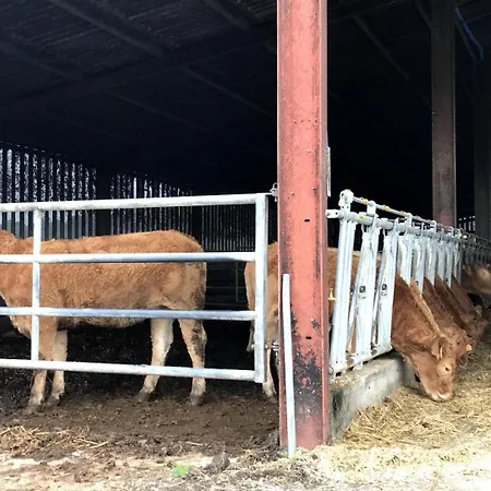 Du Coos Audaux